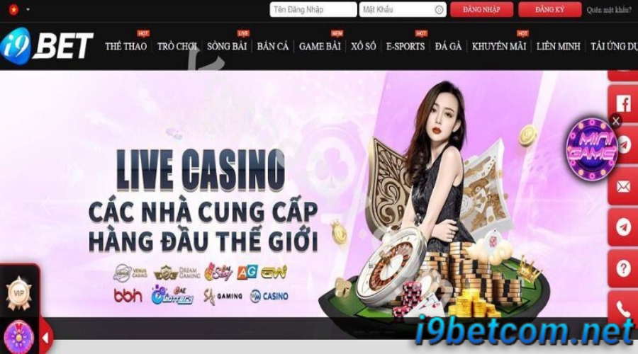 tham gia chơi live casino