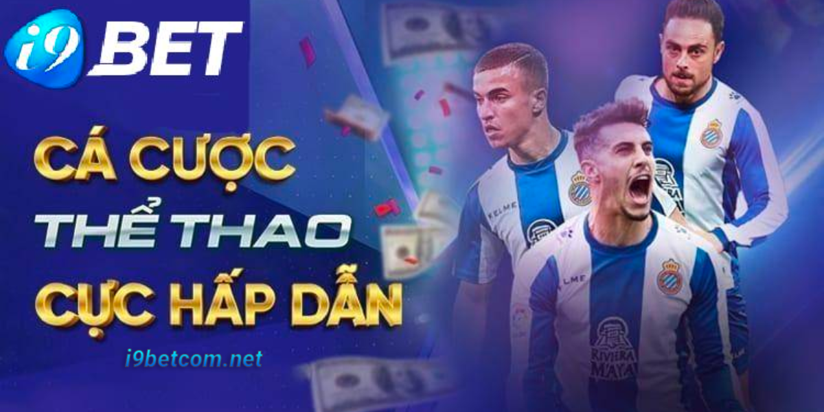 Cá cược thể thao VIP